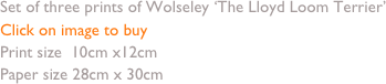 Set of three prints of Wolseley ‘The Lloyd Loom Terrier’
Click on image to buy
Print size  10cm x12cm 
Paper size 28cm x 30cm
